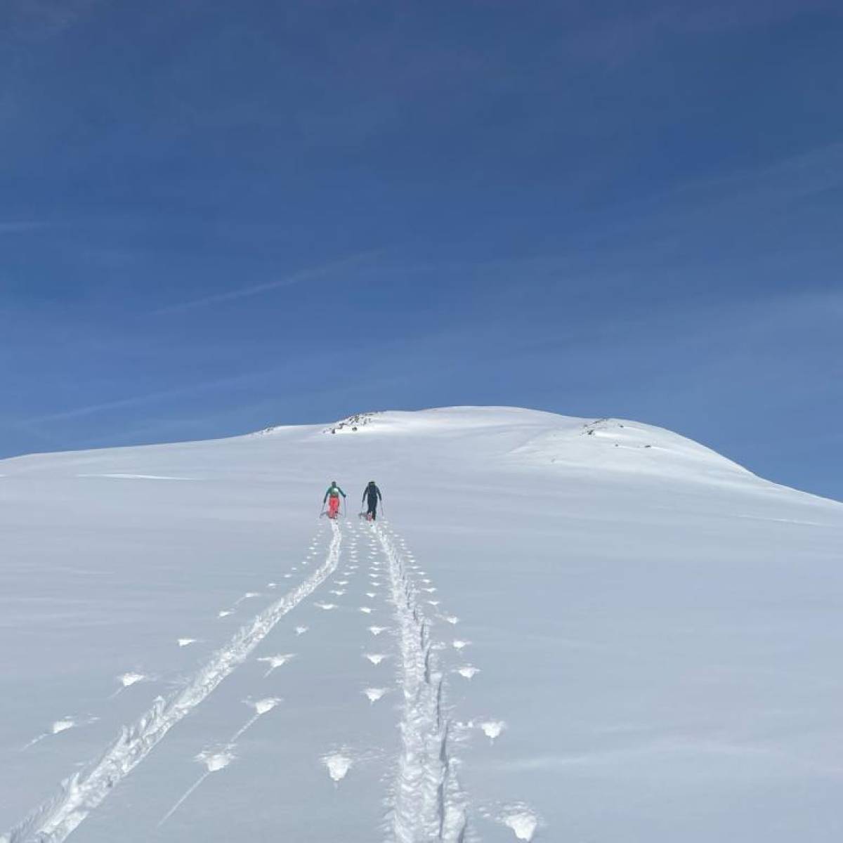 Skitour auf den Haldenstein am 21.01.2024 mit Michi Schneebichler